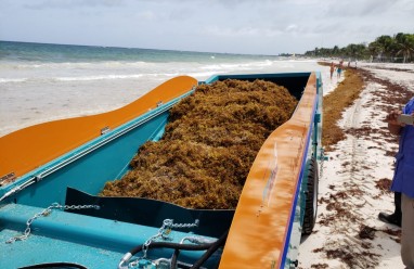 Limpia playas Scarbat 1.5