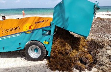 Limpia playas Scarbat 1.5